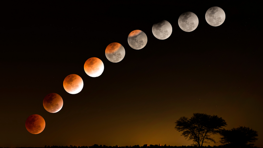 How Can Lunar Rituals Amplify Your Manifestation Powers?